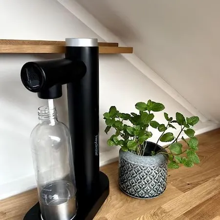 Tolles Studio Naehe Leipzig * Wiedemar